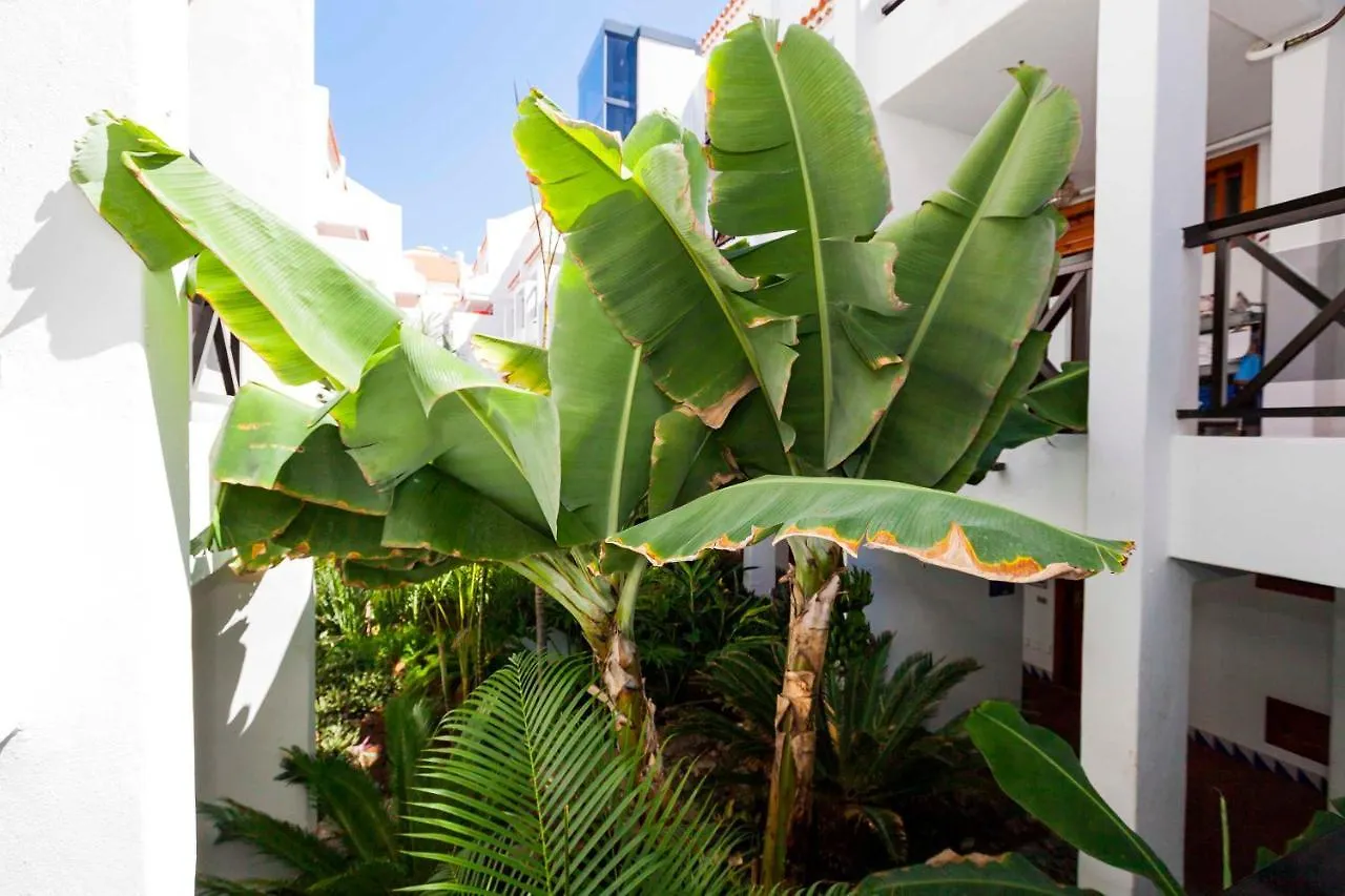 Apartamento Estudio 1 Sara en Playa de Las America Costa Adeje  España